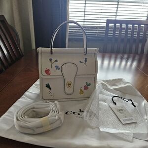 Coach Willis 18 Top Handls Embroidered Mini Bag